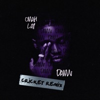 Thumbnail for the Omah Lay - Damn (Cricket Remix) link, provided by host site