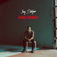 Thumbnail for the Joey Stamper - Dance Monkey link, provided by host site