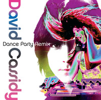 Thumbnail for the David Cassidy - Dance Party Remix link, provided by host site