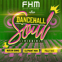 Thumbnail for the Elephant Man - Dancehall Soul Riddim link, provided by host site
