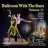Thumbnail for the Marc Reift - Dancing with the Stars, Volume 11 link, provided by host site