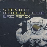 Thumbnail for the Slackjoint - Dandelion Fields link, provided by host site