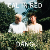 Image of Cal in Red linking to their artist page due to link from them being at the top of the main table on this page