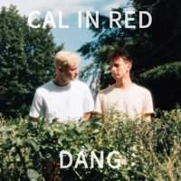Thumbnail for the Cal in Red - Dang link, provided by host site
