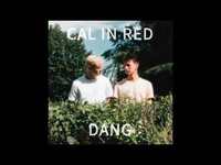 Thumbnail for the Cal in Red - Dang link, provided by host site