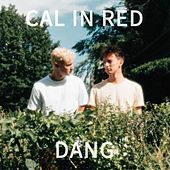 Thumbnail for the Cal in Red - Dang link, provided by host site