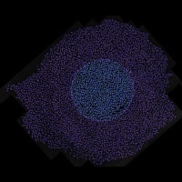 Thumbnail for the Floating Points - Danger link, provided by host site