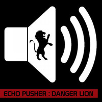 Image of Echo Pusher linking to their artist page due to link from them being at the top of the main table on this page