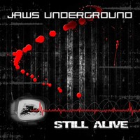 Thumbnail for the Mesmerizer - Danger Zone - Jaws Underground RMX link, provided by host site
