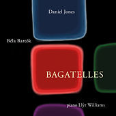 Thumbnail for the Llŷr Williams - Daniel Jones & Béla Barók: Bagatelles link, provided by host site