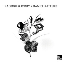 Thumbnail for the Daniel Rateuke - Daniel Rateuke / Kadosh & Ivory link, provided by host site