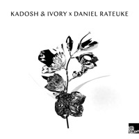 Thumbnail for the Daniel Rateuke - Daniel Rateuke / Kadosh & Ivory link, provided by host site