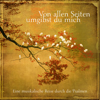 Thumbnail for the Lars Peter - Danket dem Herrn für seine Güte link, provided by host site