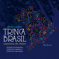 Thumbnail for the Camargo Guarnieri - Dansa Negra link, provided by host site