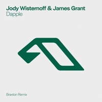 Thumbnail for the Jody Wisternoff - Dapple (Braxton Remix) link, provided by host site