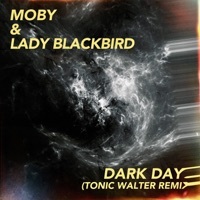 Thumbnail for the Moby - dark days (Tonic Walter Remix) link, provided by host site