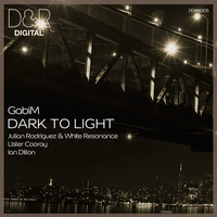 Thumbnail for the Ian Dillon - Dark to Light - Ian Dillon Remix link, provided by host site
