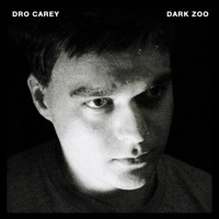 Thumbnail for the Dro Carey - Dark Zoo link, provided by host site