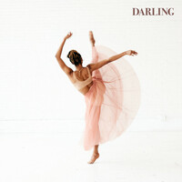 Image of Dixson linking to their artist page due to link from them being at the top of the main table on this page