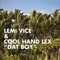 Thumbnail for the Lemi Vice - Dat Boy link, provided by host site