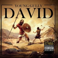 Thumbnail for the Young Gully - David link, provided by host site