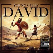 Thumbnail for the Young Gully - David link, provided by host site