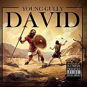 Thumbnail for the Young Gully - David link, provided by host site