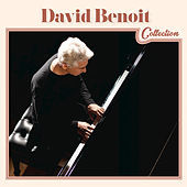 Thumbnail for the David Benoit - David Benoit Collection link, provided by host site