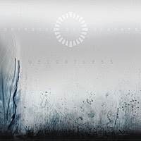 Thumbnail for the Animals as Leaders - David link, provided by host site