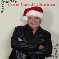 Thumbnail for the David Cassidy - David Cassidy Christmas link, provided by host site