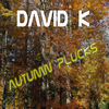Thumbnail for the David K - David K - Autumn Plucks link, provided by host site