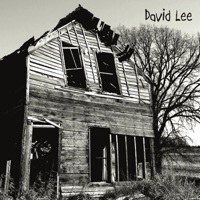 Thumbnail for the David Lee - David Lee link, provided by host site