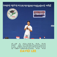 Thumbnail for the David Lee - David Lee Songs link, provided by host site