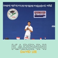 Image of David Lee linking to their artist page due to link from them being at the top of the main table on this page