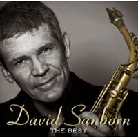 Thumbnail for the David Sanborn - David Sanborn The Best link, provided by host site