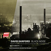 Thumbnail for the Boston Modern Orchestra Project - David Sanford: Black Noise link, provided by host site