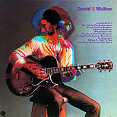 Thumbnail for the David T. Walker - David T. Walker link, provided by host site