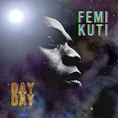 Thumbnail for the Femi Kuti - Day By Day link, provided by host site
