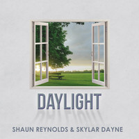 Thumbnail for the Shaun Reynolds - Daylight link, provided by host site