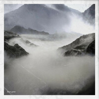 Image of Joshua Tree linking to their artist page due to link from them being at the top of the main table on this page