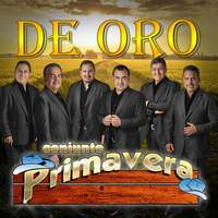 Thumbnail for the Conjunto Primavera - De Oro link, provided by host site