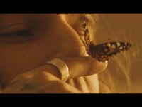 Thumbnail for the Kid Bloom - "Dead Butterflies" (Official Visualizer) link, provided by host site