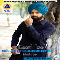 Thumbnail for the Sandeep - Dead Look link, provided by host site
