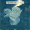 Thumbnail for the Day Wave - Deadbeat Girl link, provided by host site