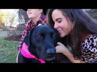 Thumbnail for the The Band McMillan - Dear Miranda #thebandmcmillan #dearmiranda link, provided by host site