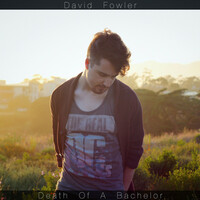 Thumbnail for the David Fowler - Death of a Bachelor link, provided by host site