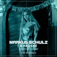 Thumbnail for the Markus Schulz - Death of a Star link, provided by host site