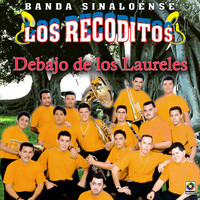 Thumbnail for the Banda Sinaloense Los Recoditos - Debajo De Los Laureles link, provided by host site