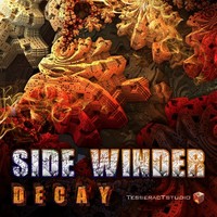 Thumbnail for the Side Winder - Decay link, provided by host site