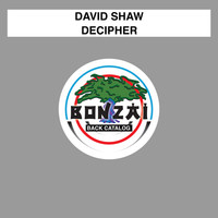 Thumbnail for the David Shaw - Decipher link, provided by host site